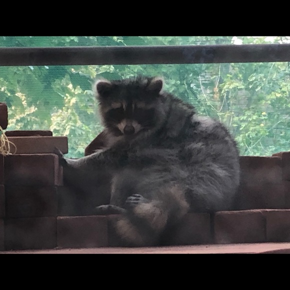 Meet your Posher, Sara - Picture 8 of 16